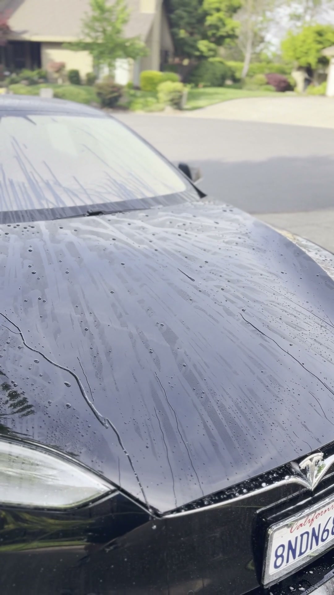 Ceramic Coating gallery