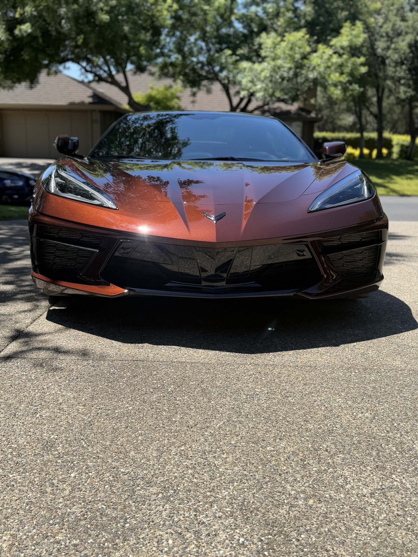Cars gallery